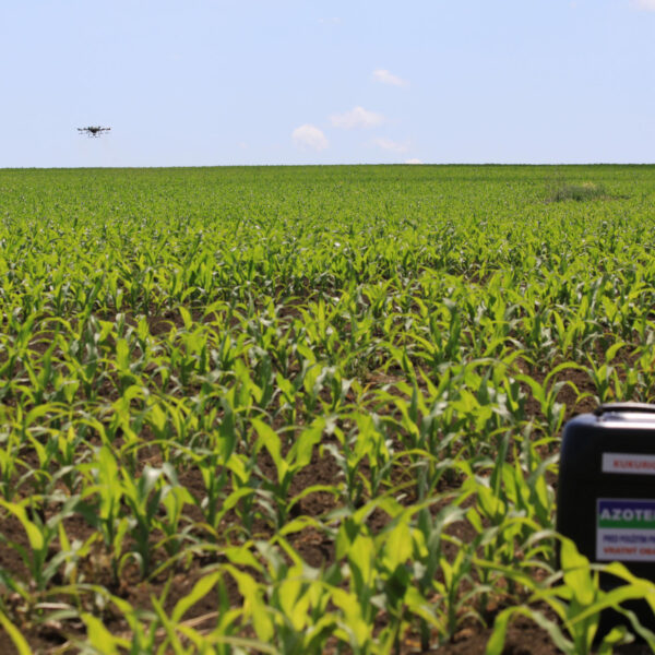 Dron 14 azoter